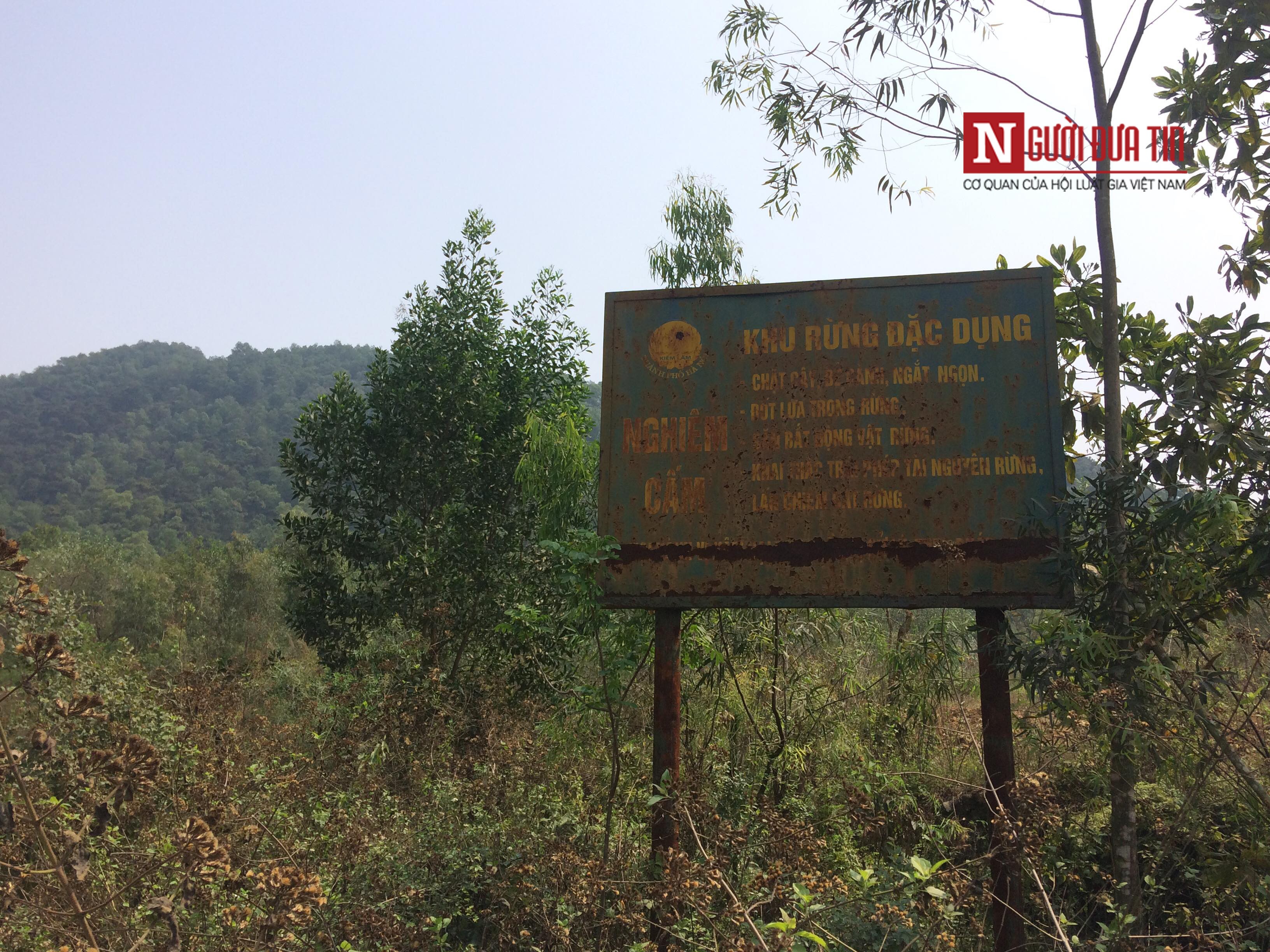 Môi trường - Hà Nội: Hàng nghìn mét khối rác nghi 'đội lốt' mùn hữu cơ đổ vào rừng đặc dụng (Hình 2).