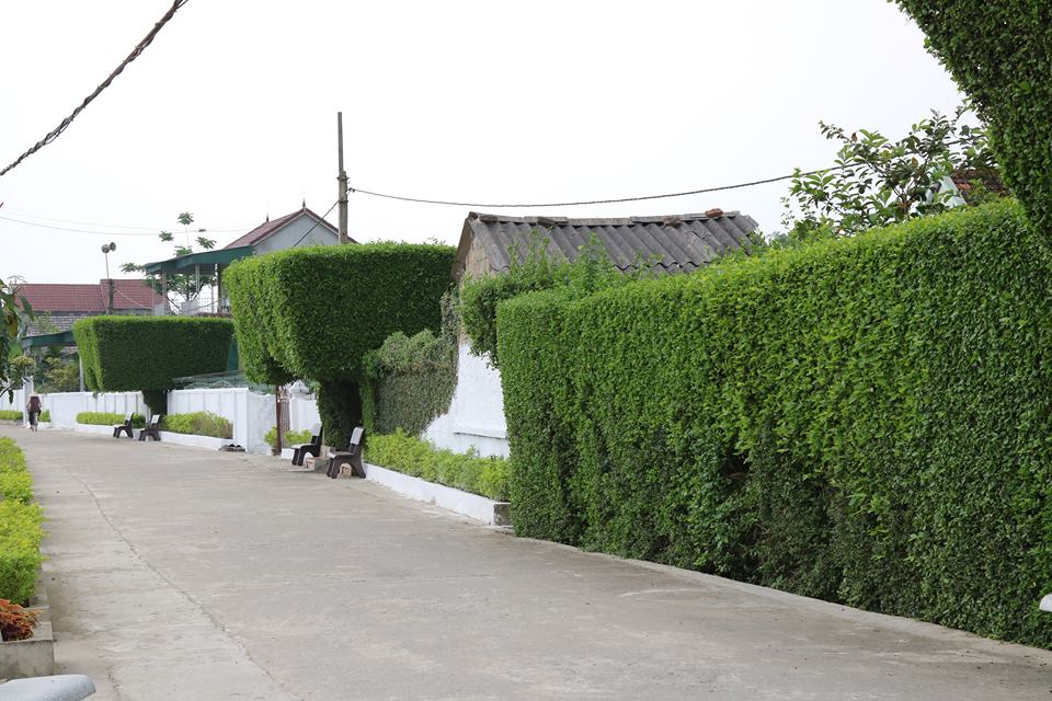 Hút hồn làng quê bên bến Tam Soa - Hình 2