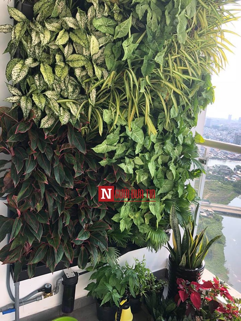 Cận cảnh căn nhà 4 tỷ của "đôi đũa lệch" Cát Phượng - Kiều Minh Tuấn - Hình 7