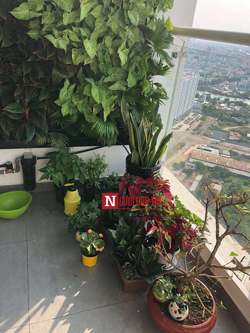 Cận cảnh căn nhà 4 tỷ của "đôi đũa lệch" Cát Phượng - Kiều Minh Tuấn - Hình 6
