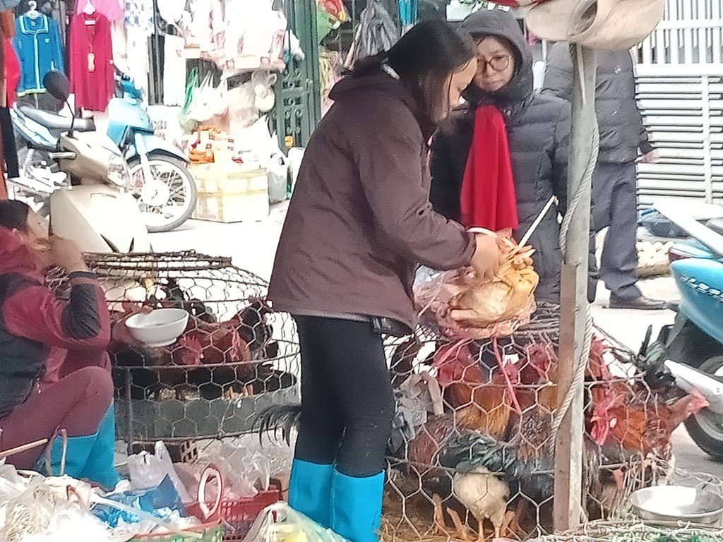 Hà Nội: Chợ Tết len lỏi trong khu tập thể - Hình 5