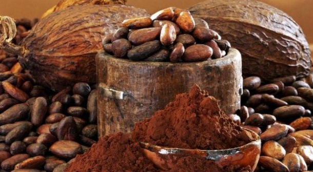 Những thực phẩm tăng cường miễn dịch trong mùa đông - Hình 11