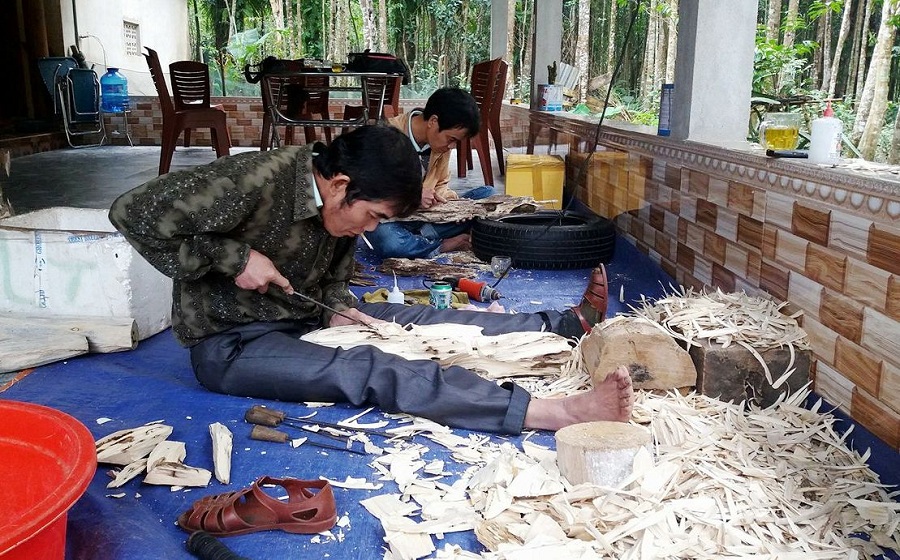 Loại cây "đặc biệt" giúp hàng trăm nông dân Hà Tĩnh thành tỷ phú - Hình 3