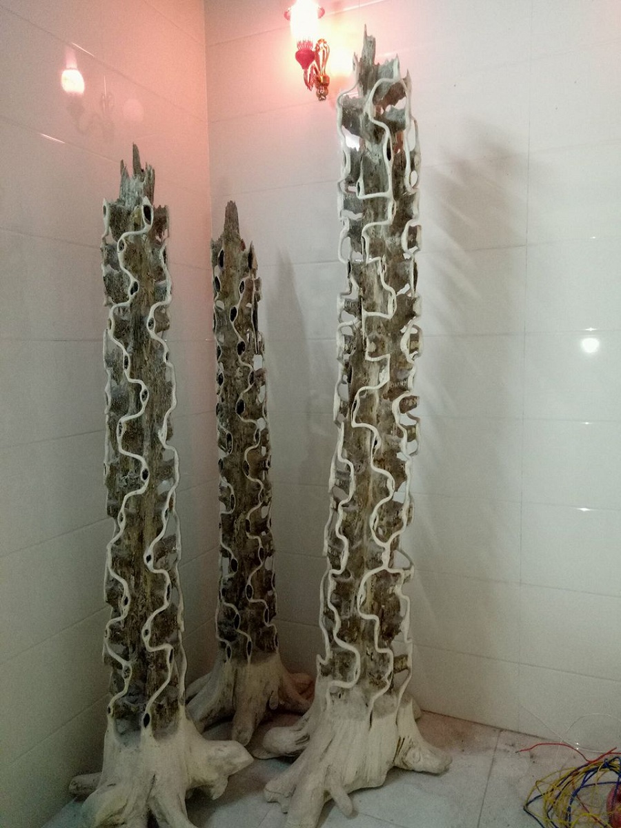 Loại cây "đặc biệt" giúp hàng trăm nông dân Hà Tĩnh thành tỷ phú - Hình 4