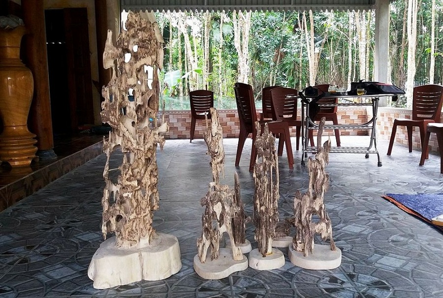 Loại cây "đặc biệt" giúp hàng trăm nông dân Hà Tĩnh thành tỷ phú - Hình 6