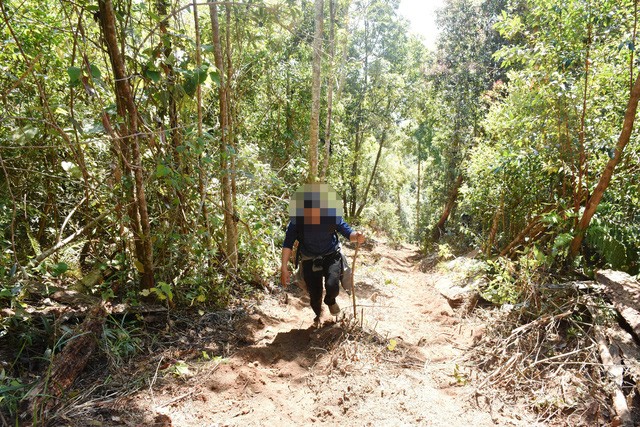 Gia Lai: Lâm tặc táo tợn chặt nhiều cây gỗ "khủng" ngày cận Tết - Hình 9