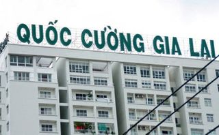 Quốc Cường Gia Lai suýt mua trót lọt 2 lô đất công giá bèo 1 Quốc Cường Gia Lai suýt mua trót lọt 2 lô đất công giá bèo 1