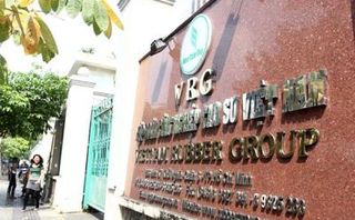 Sau IPO đáng thất vọng, tập đoàn Cao su tiếp tục làm ăn thua lỗ Sau IPO đáng thất vọng, tập đoàn Cao su tiếp tục làm ăn thua lỗ