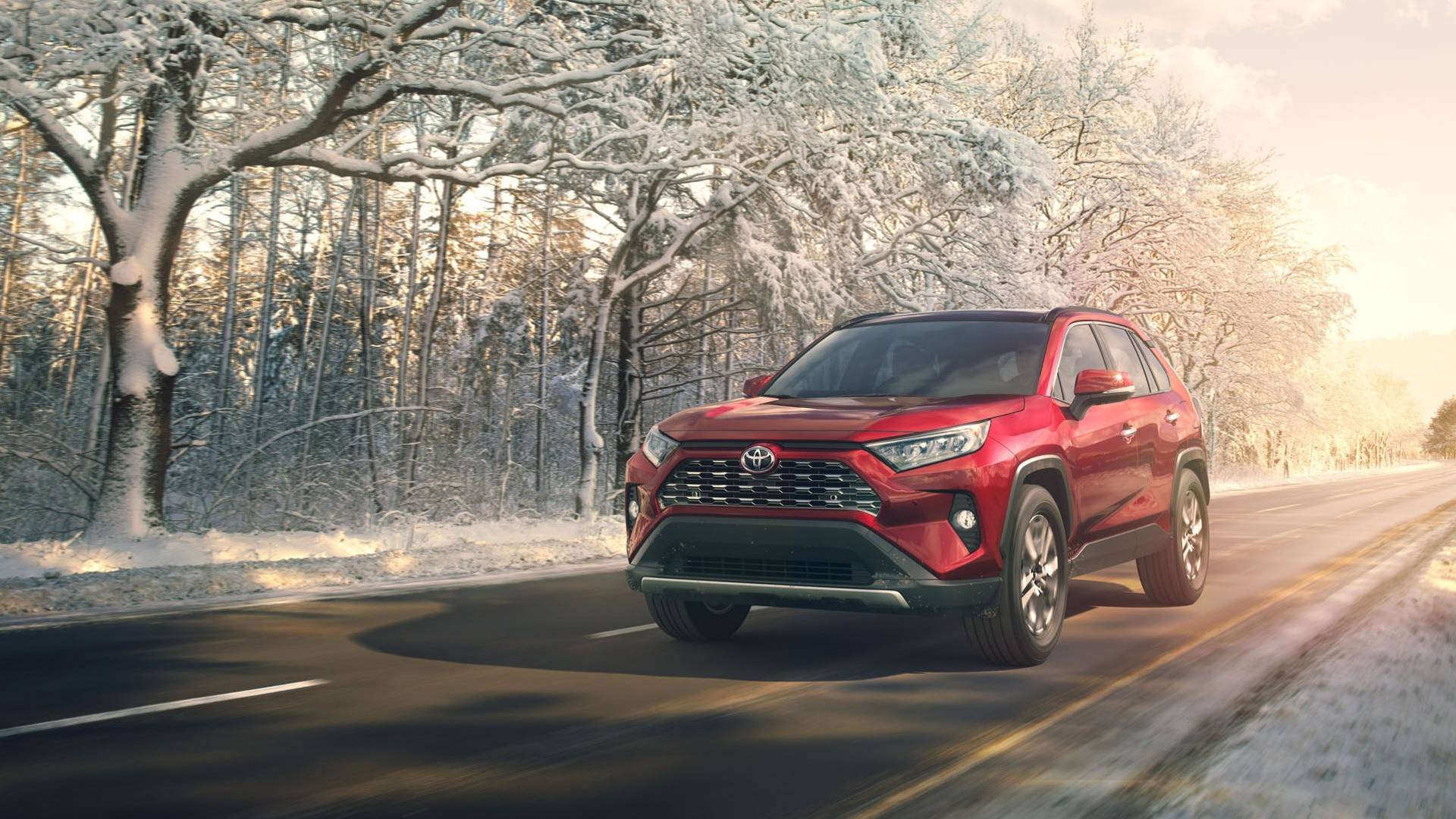 2019 toyota rav4