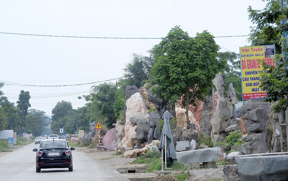 cau soi hoa binh