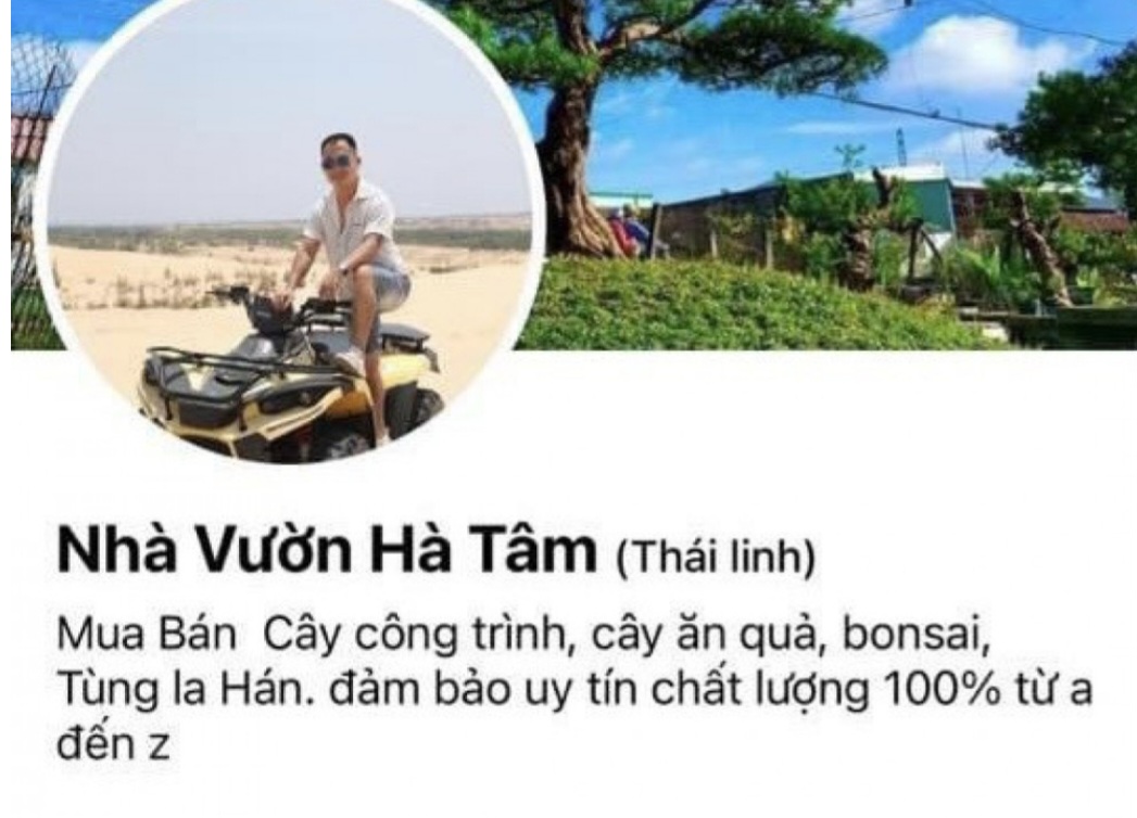 Hà Tĩnh: Bắt đối tượng lừa bán cây cảnh