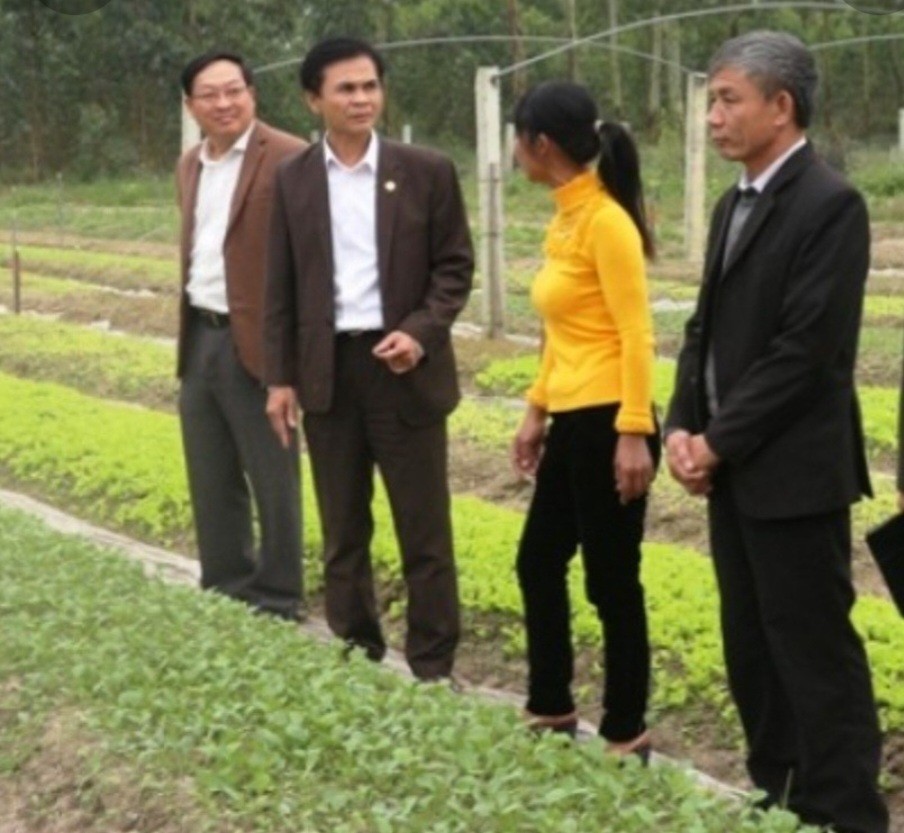 Dân sinh - Dư luận dậy sóng vụ kỷ luật Chánh văn phòng điều phối Nông thôn mới Hà Tĩnh