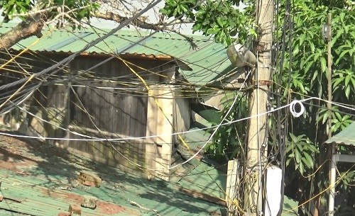 ma tran dien chang chit xuong cap