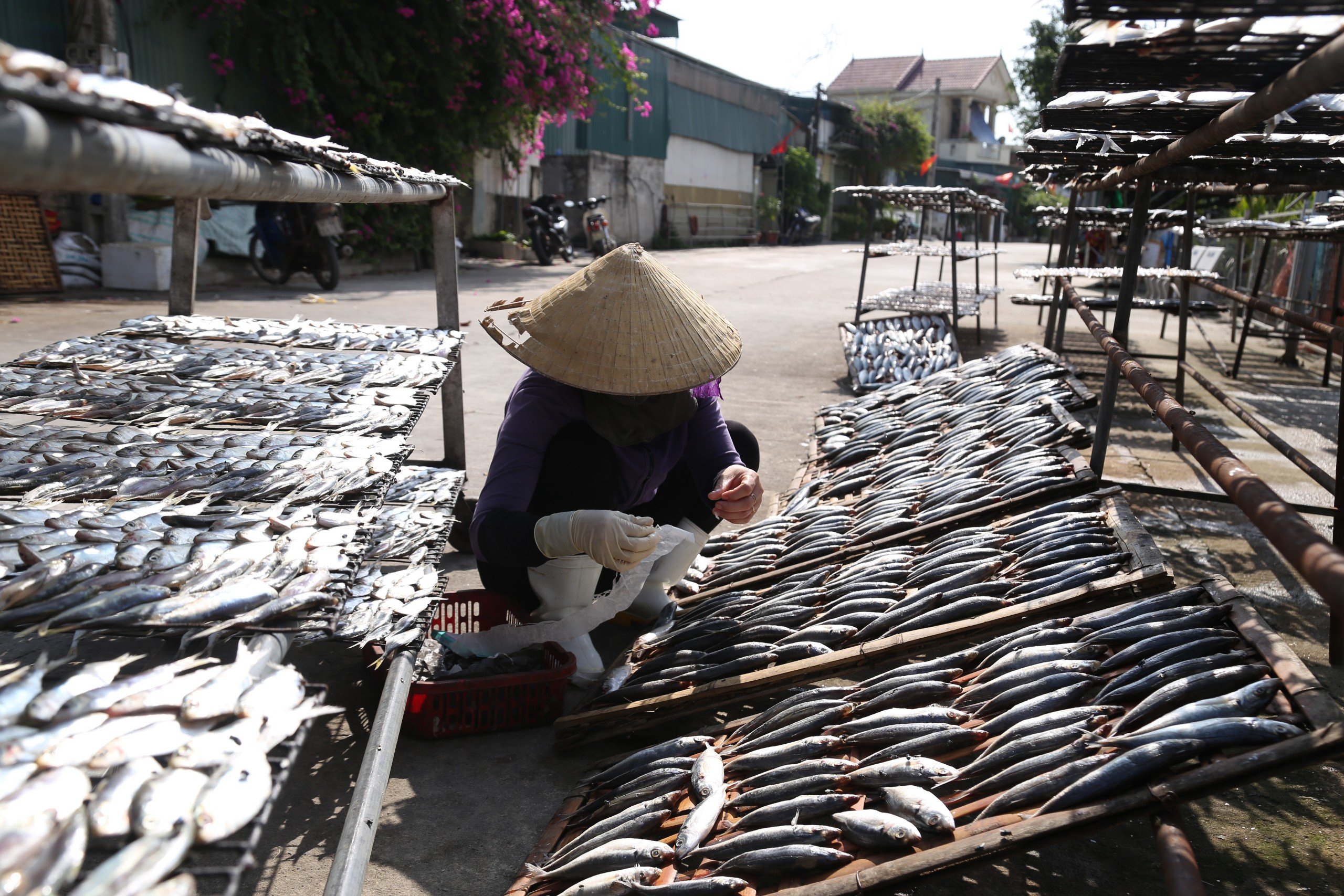 Dân sinh - Cực nhọc nghề nướng cá dưới thời tiết mùa hè nóng bỏng rát