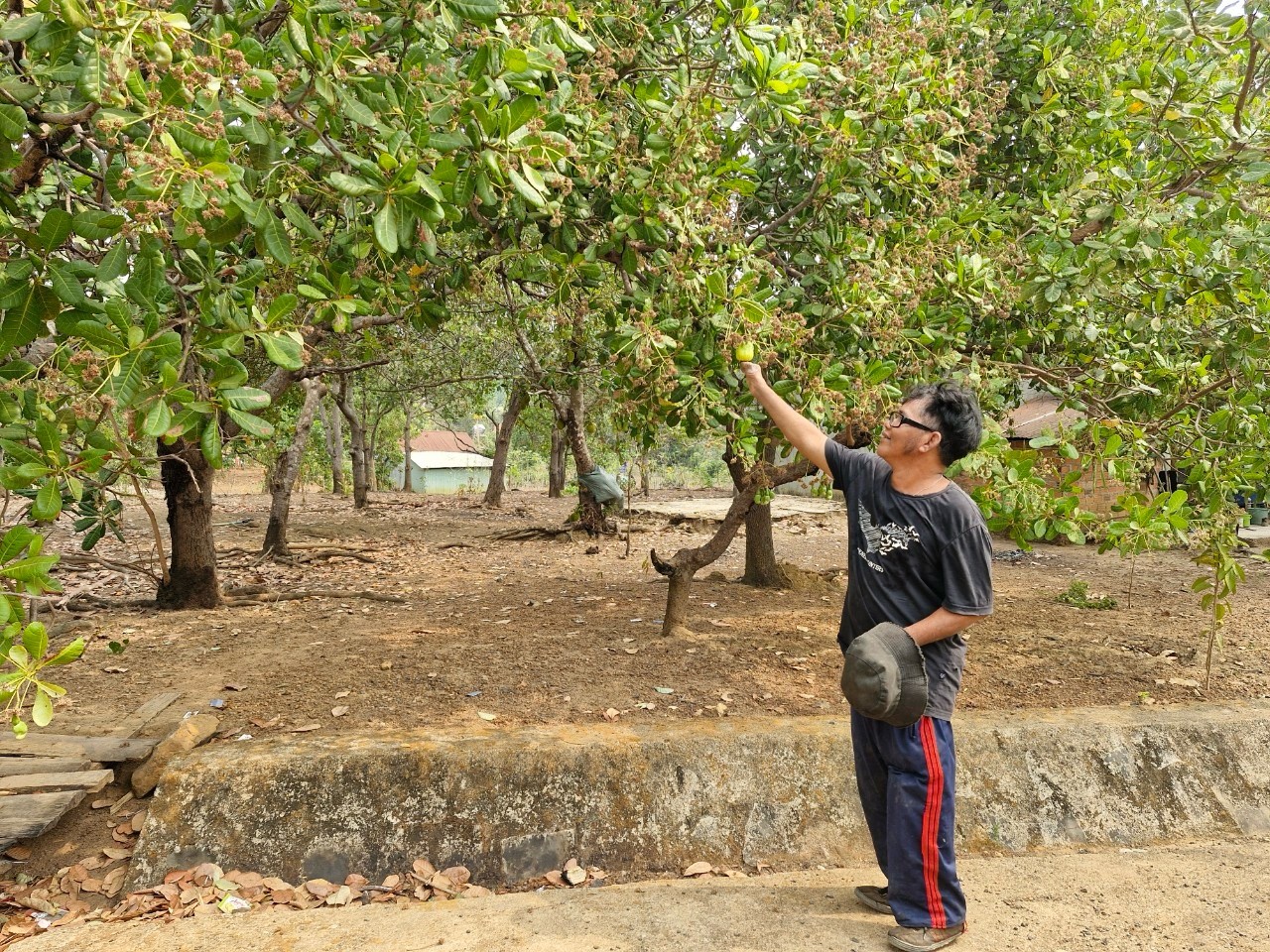 Dân sinh - Gia Lai: Cuộc sống khởi sắc nơi ngôi làng bệnh phong (Hình 3).