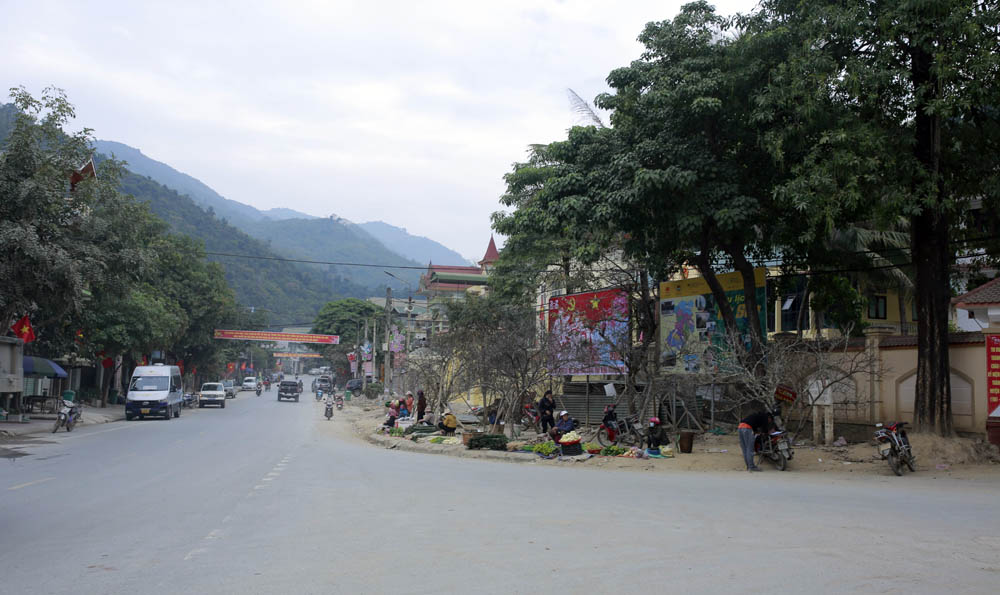 dao choi tet 2023 1 dao choi tet 2023 1