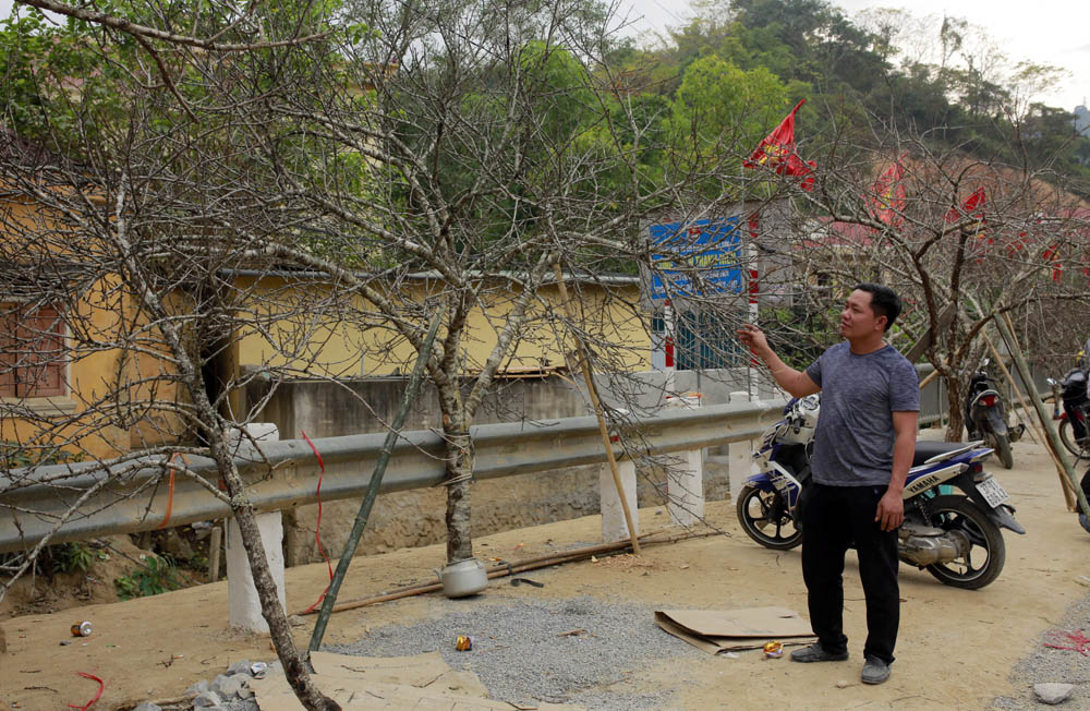 dao choi tet 2023 2 dao choi tet 2023 2