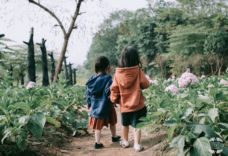 Tan chảy với bộ ảnh hai "thiên thần" nhỏ nhí nhảnh giữ vườn hoa - Hình 4