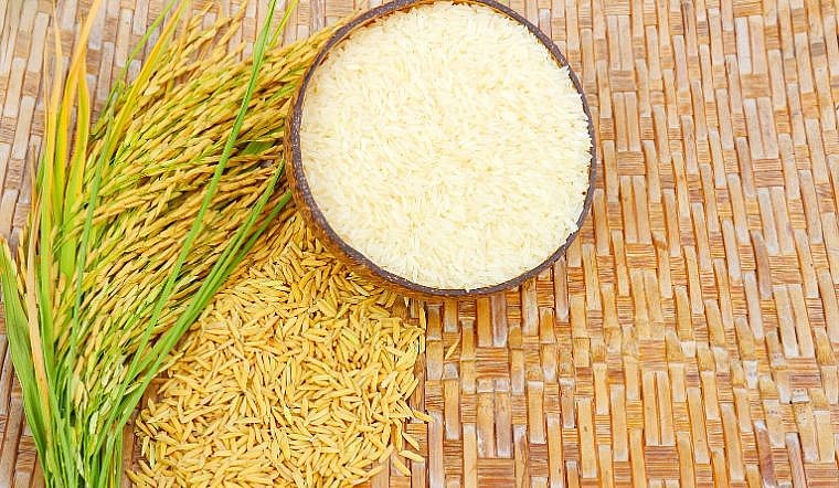 Tiêu dùng & Dư luận - Giá nông sản ngày 6/6: Dứa được mùa giá cao, sầu riêng ổn định, cà phê trên đà giảm (Hình 3).