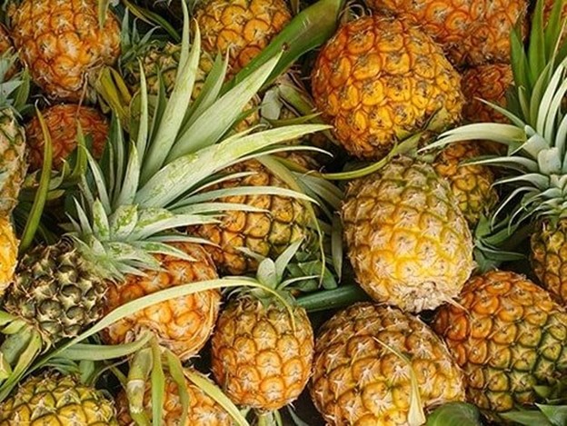 Tiêu dùng & Dư luận - Giá nông sản ngày 6/6: Dứa được mùa giá cao, sầu riêng ổn định, cà phê trên đà giảm