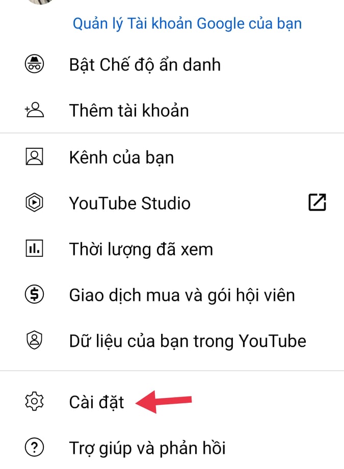 Công nghệ - Cách chỉnh hiển thị phụ đề Youtube trên điện thoại Android (Hình 3).