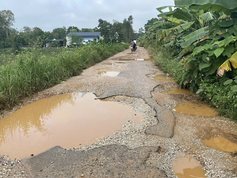 z39146323988421495ca1cc6477d26a80e5be411469bfc