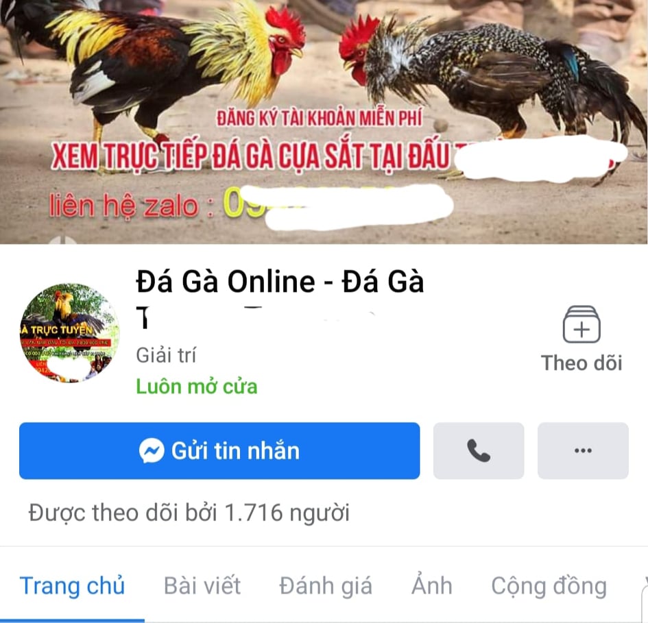 Nhận diện thủ đoạn dụ dỗ con bạc sập bẫy các sới đá gà online