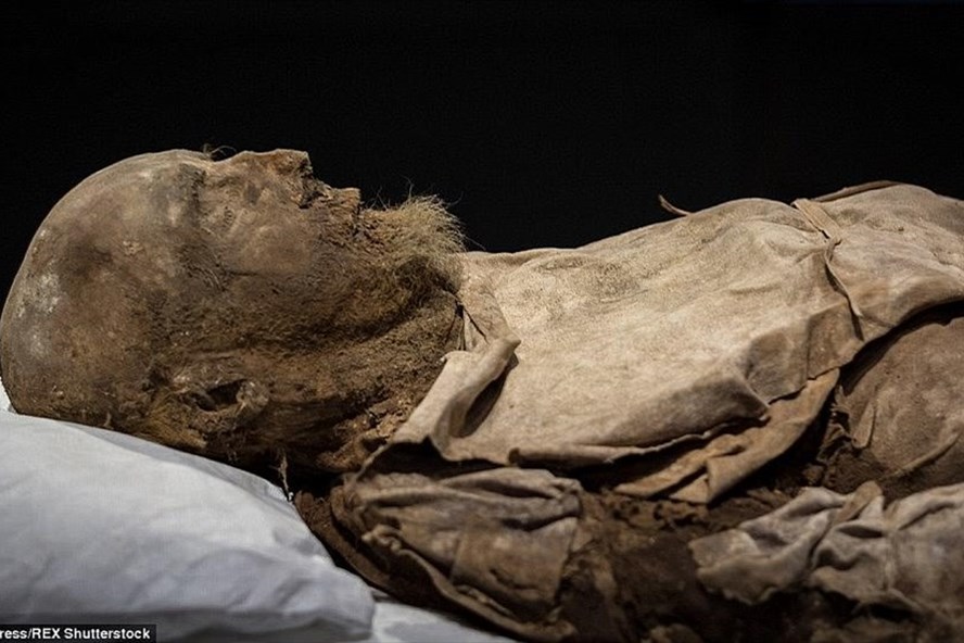 Life - The mystery of the fetus hidden between the legs of the mummy of a bishop in the 17th century