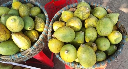 Thứ quả dại “thơm nức mũi” nhưng 90% người Việt không biết tên