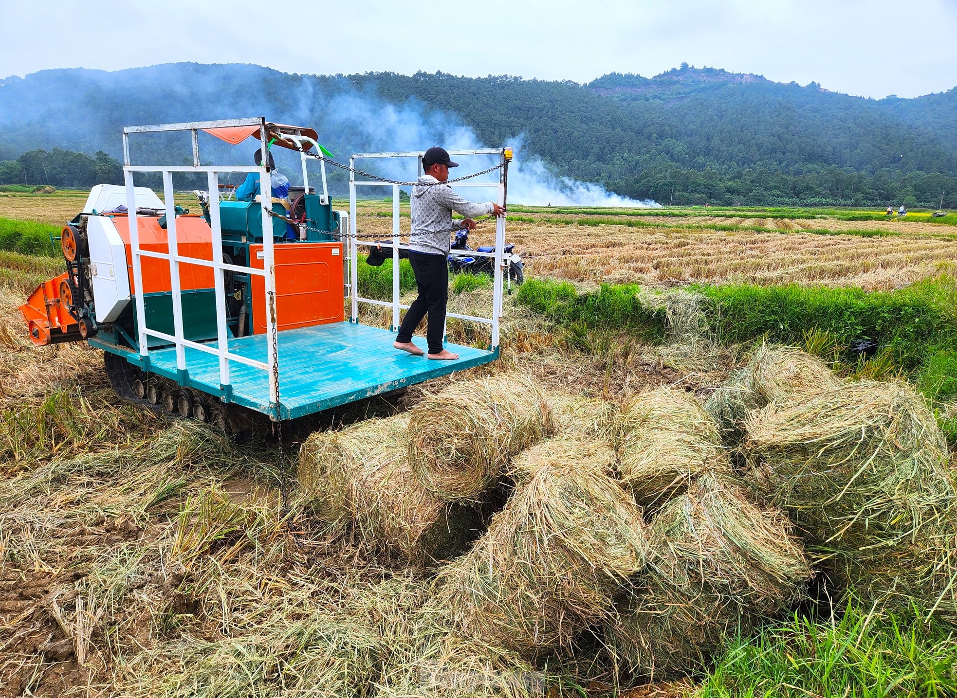 Life - Farmers earn hundreds of millions from discarded waste filled with fields (Figure 7).