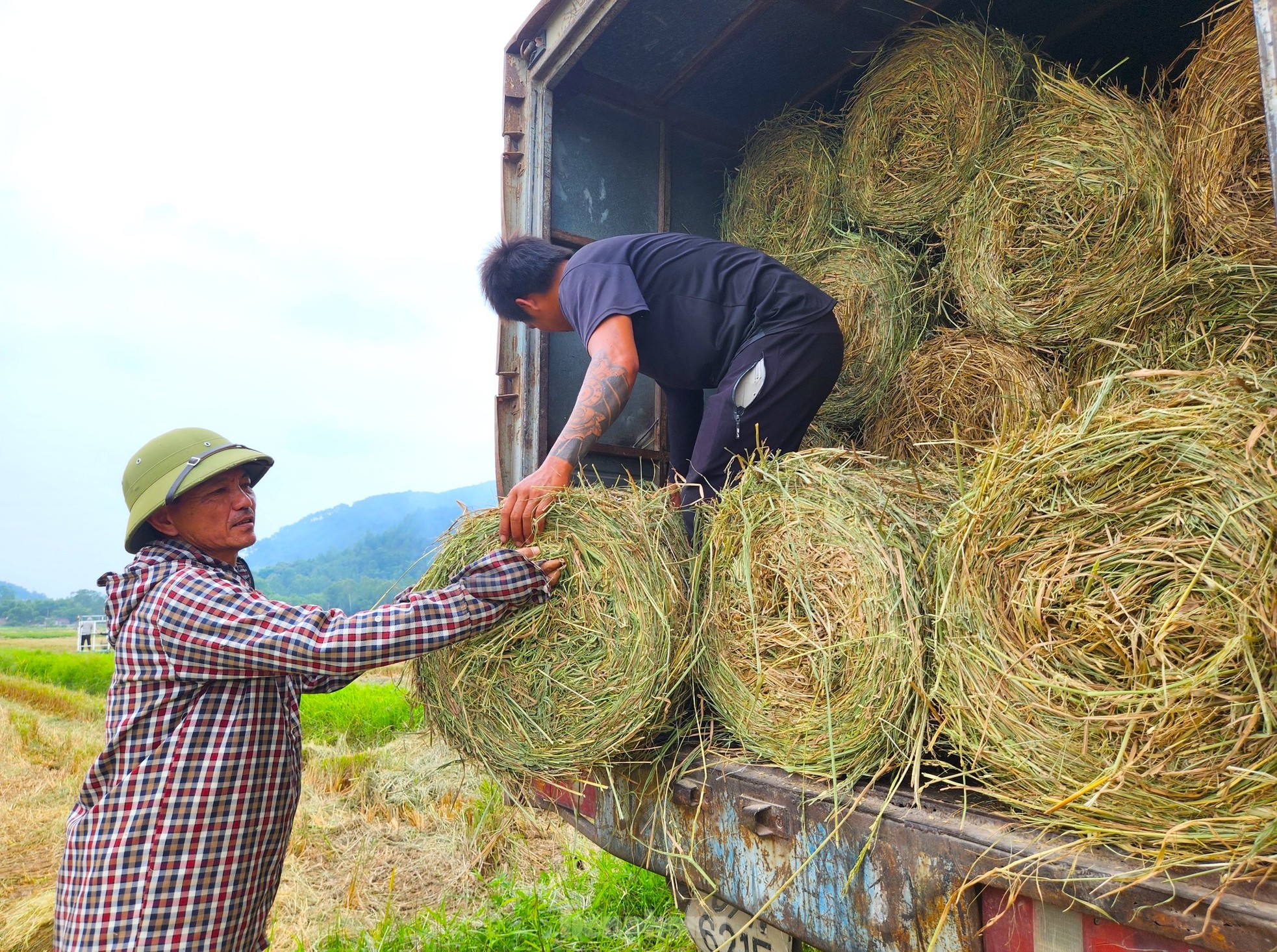 Life - Farmers earn hundreds of millions from discarded waste filled with fields (Figure 4).