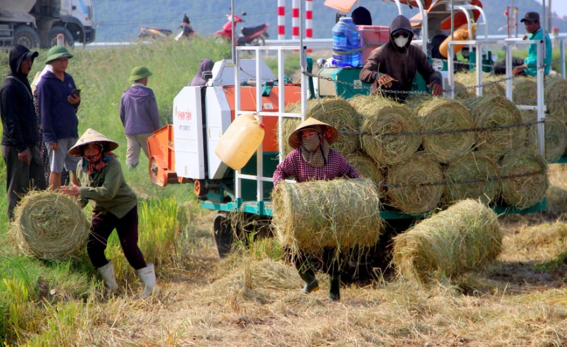 Life - Farmers earn hundreds of millions from waste filled with fields (Figure 6).