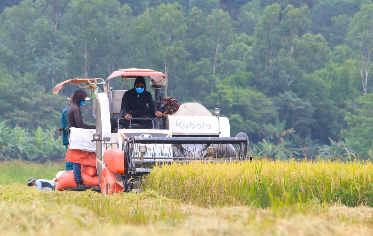 Life - Farmers earn hundreds of millions from discarded waste filled with fields