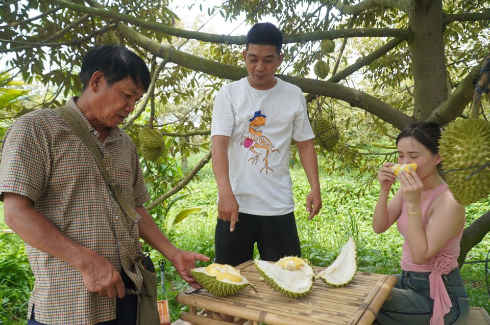 Đời sống - Lão nông kiếm hơn 2 tỷ/năm nhờ làm “điều đặc biệt” ở vườn sầu riêng (Hình 3).