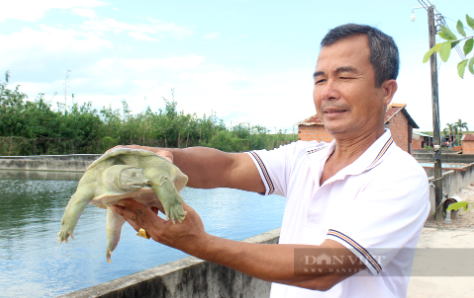Anh nông dân mỗi năm thu lãi 2,5 tỷ đồng nhờ nuôi con “hiền như đất”