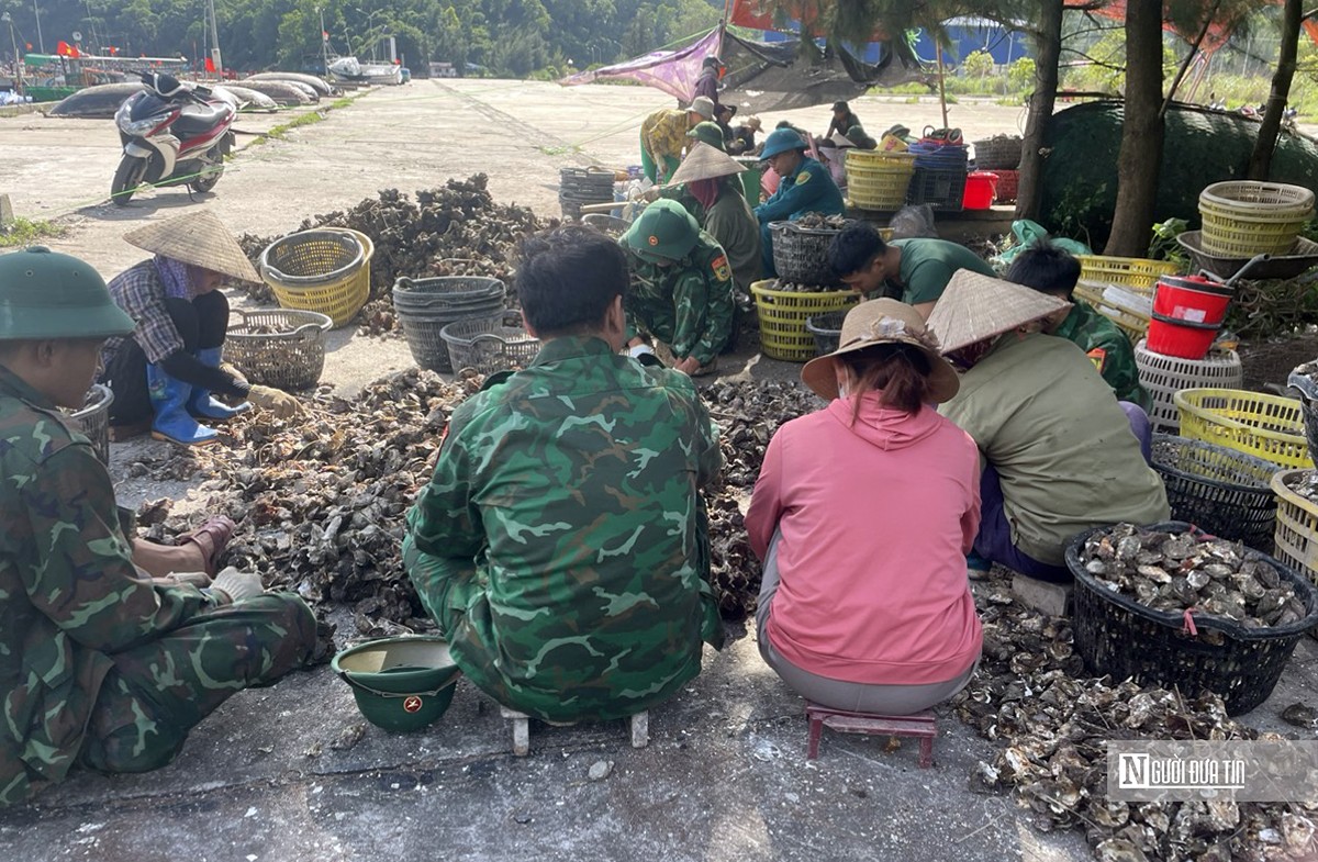 Môi trường - Hải Phòng: Hoàn thành dỡ phao xốp nuôi hàu tự phát trên vịnh Cát Bà