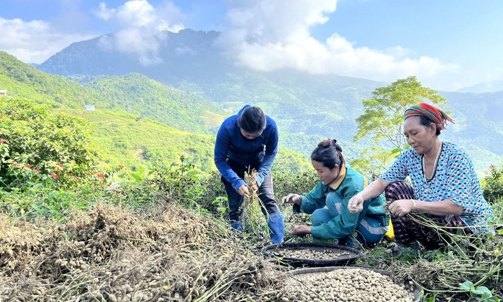 Sự kiện - Phát triển bền vững vùng đồng bào dân tộc thiểu số và miền núi Nghệ An (Hình 3).