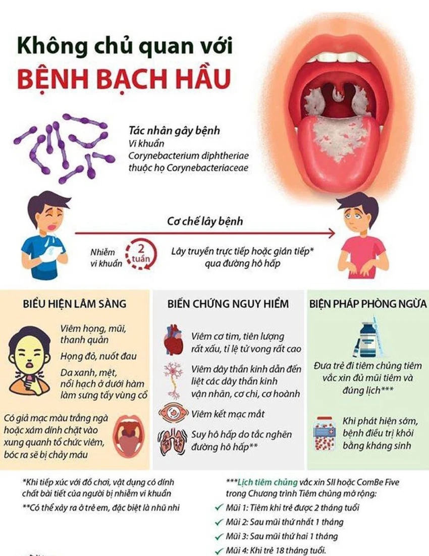 Cô gái 18 tuổi tử vong do bạch hầu:Nghệ An tăng cường phòng chống bệnh