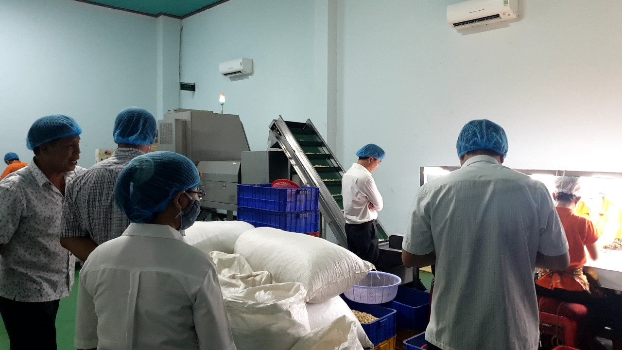Dân sinh - Bình Thuận báo cáo Bộ Y tế vụ du khách nghi bị ngộ độc thực phẩm (Hình 2).
