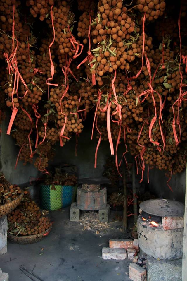 Về thủ phủ vải thiều - Hình 18