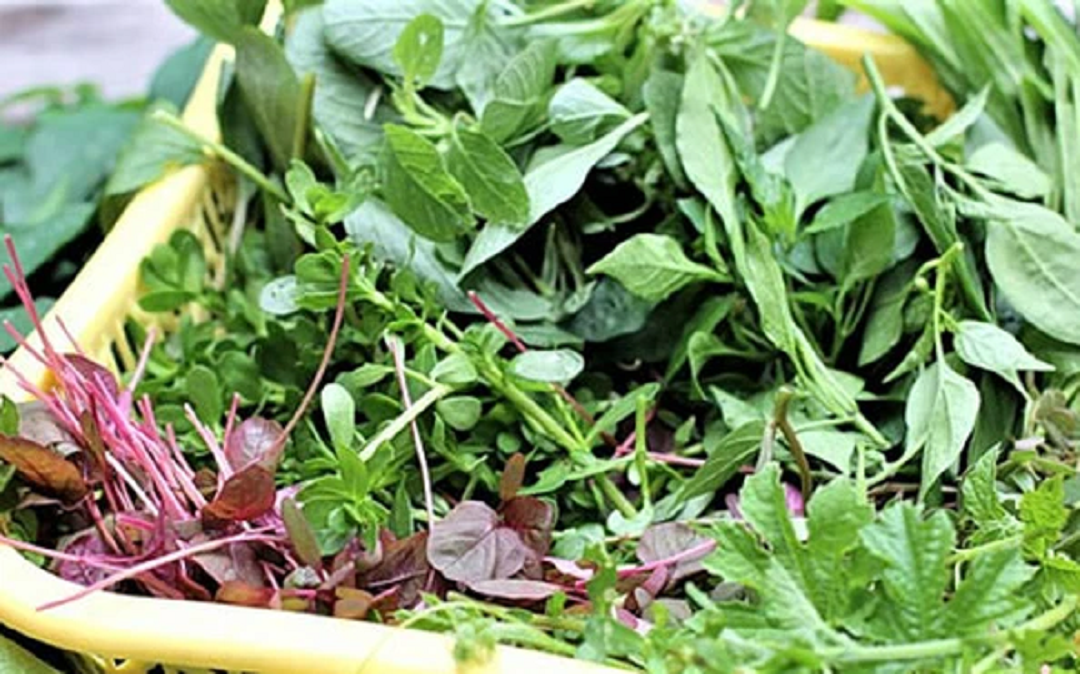 Đời sống - Ăn 1 mớ rau này tốt ngang thịt, xưa cho lợn ăn nay lên tầm đặc sản 'hái ra tiền' (Hình 2).