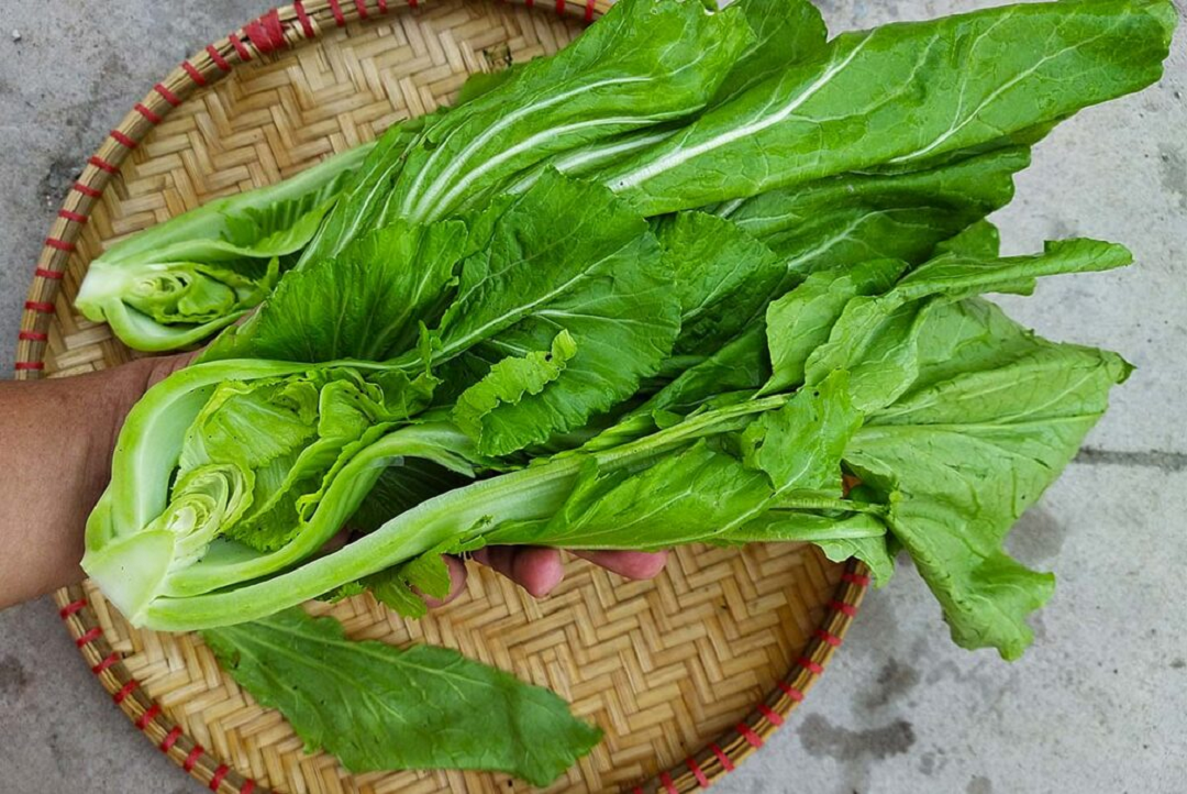 Ăn 1 mớ rau này như nhân sâm của người nghèo, đã rẻ bèo lại còn ngon