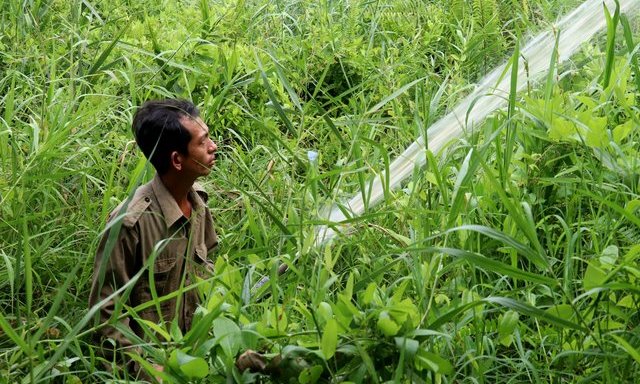 Kiên Giang: Tăng cường các biện pháp cấp bách phòng chống cháy rừng