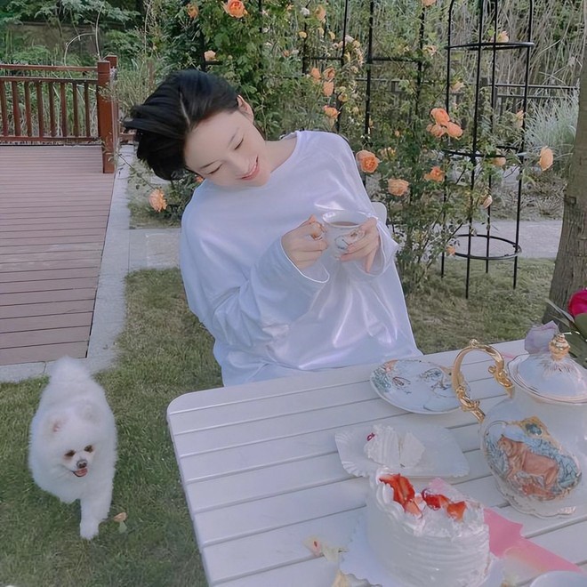 Giải trí - Bỏ lại hào quang Trương Hinh Dư đam mê làm vườn, hạnh phúc viên mãn bên soái ca quân nhân (Hình 5).