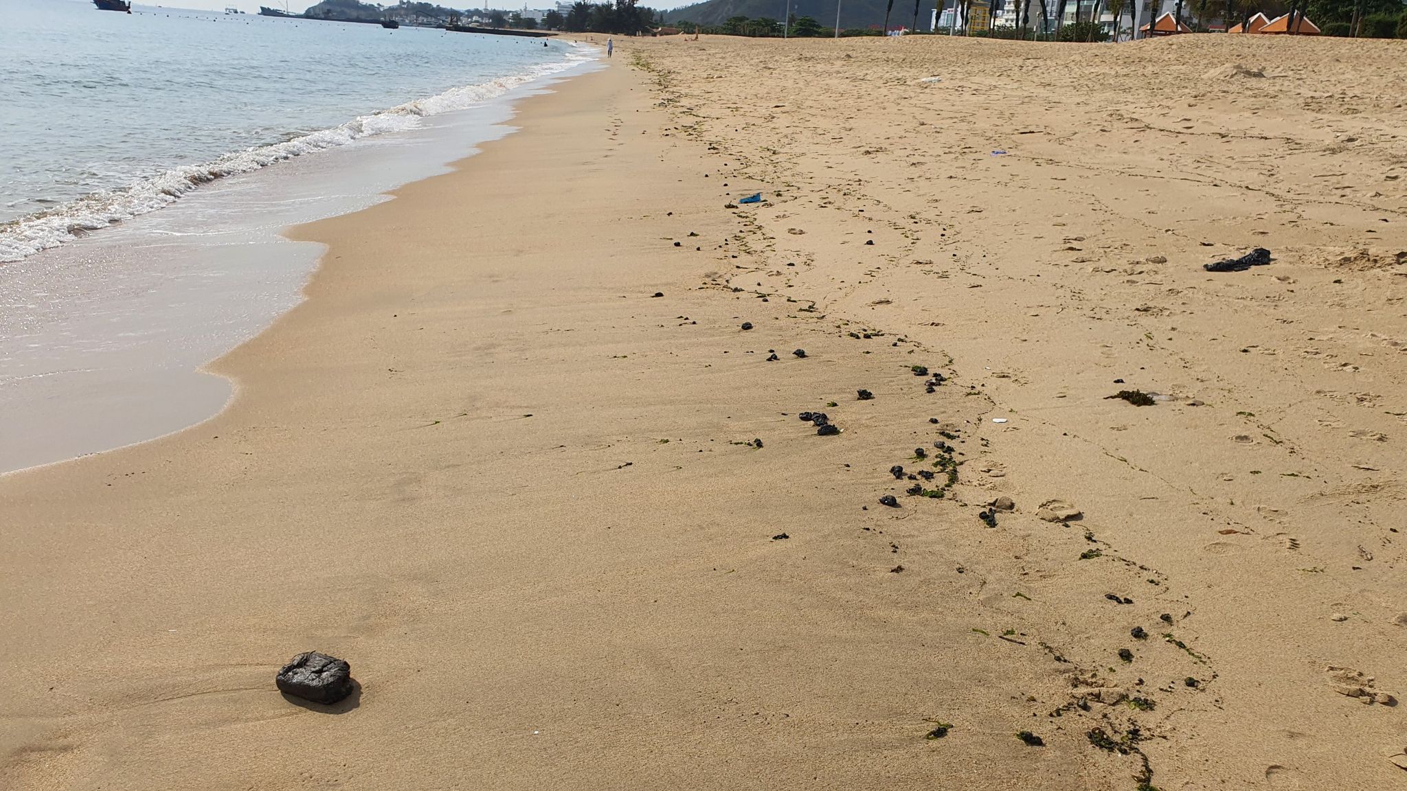 Detecting clumps of oil washed up on the beach in Nha Trang - Photo 1.