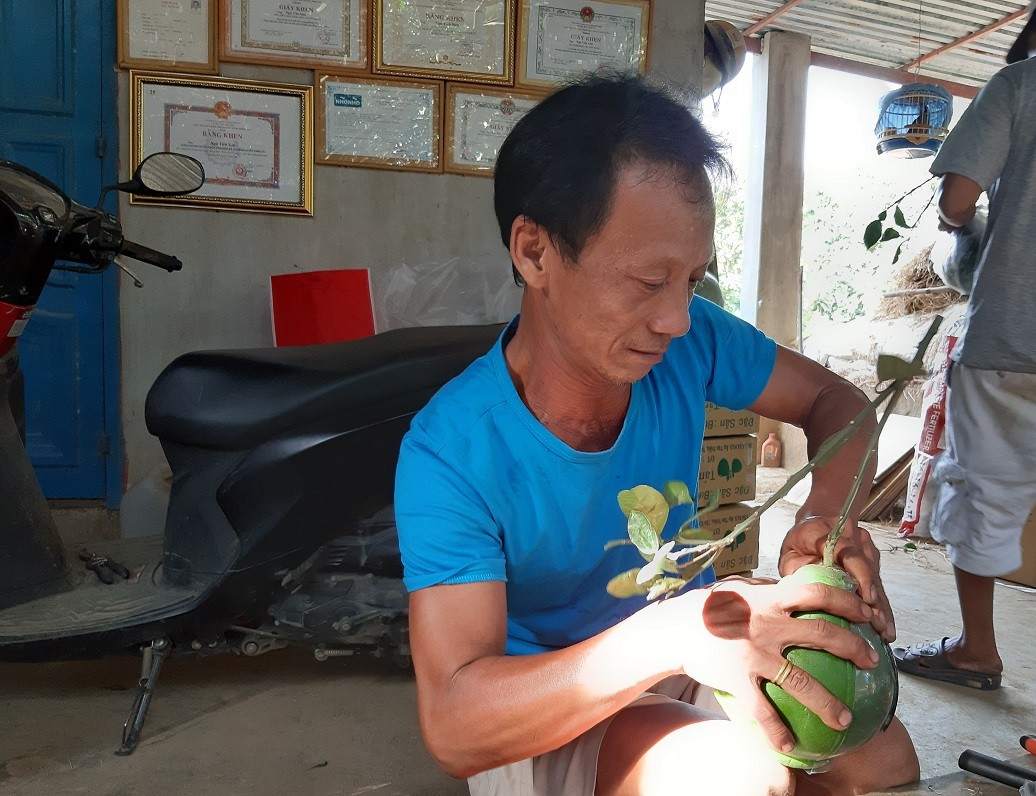 Tiêu dùng & Dư luận - 2 triệu đồng/cặp bưởi: Chỉ sợ không có hàng để bán (Hình 3).