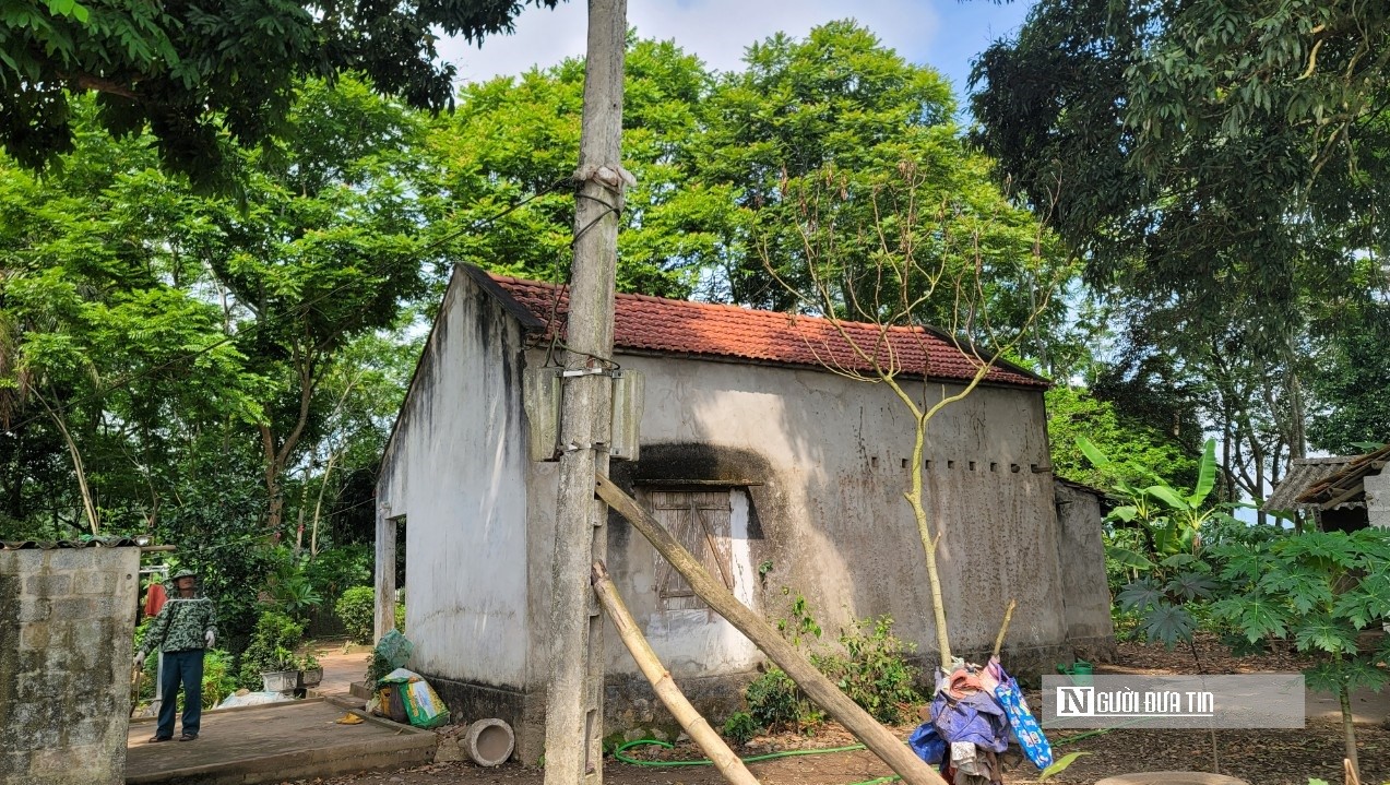 Dân sinh - Hiểm nguy rình rập khi dây trần, công tơ điện 'mắc võng' ở cây cau (Hình 5).