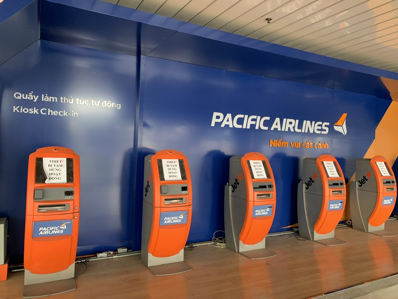 Tiêu dùng & Dư luận - Pacific Airlines tái khởi động khai thác chuyến bay nội địa