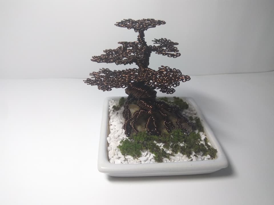 Nam sinh "hốt bạc" nhờ bán cây bonsai bằng đồng trong dịp Tết - Hình 2