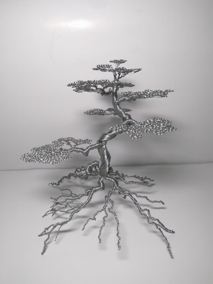 Nam sinh "hốt bạc" nhờ bán cây bonsai bằng đồng trong dịp Tết - Hình 3